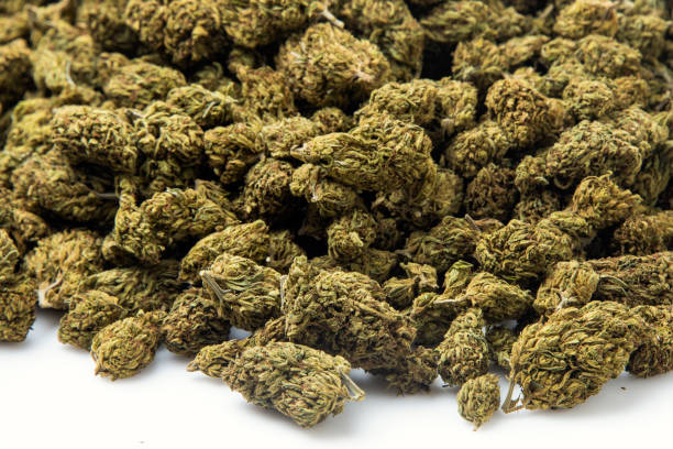 Cannabis Home Australia